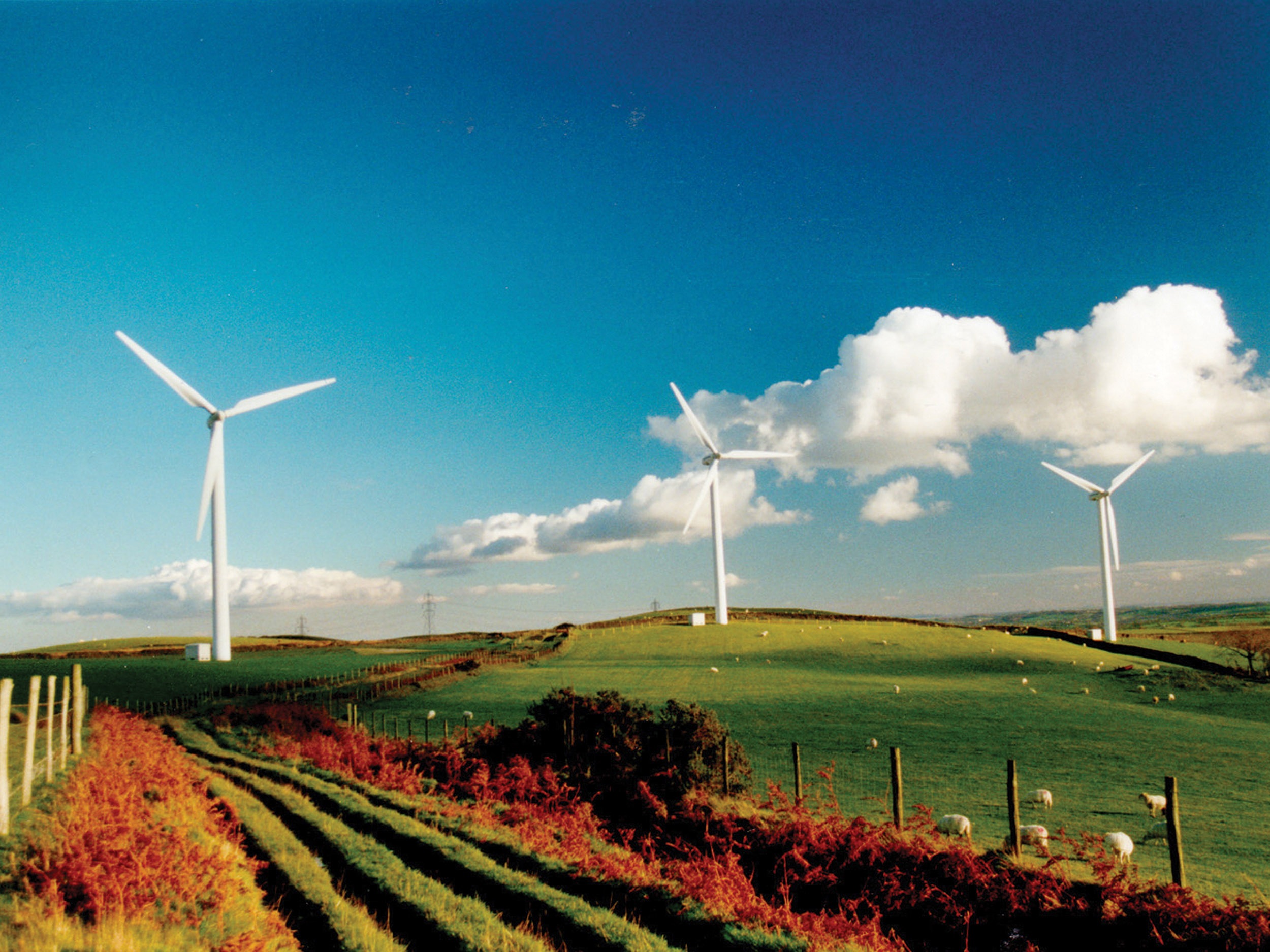 Clean-Green-Energy1.jpg